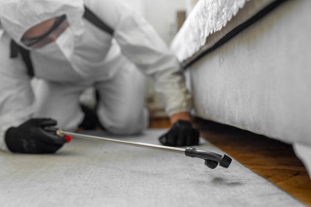Professional Pest Control technician working in Sullivan County County, TN